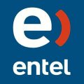 AgileWise Entel